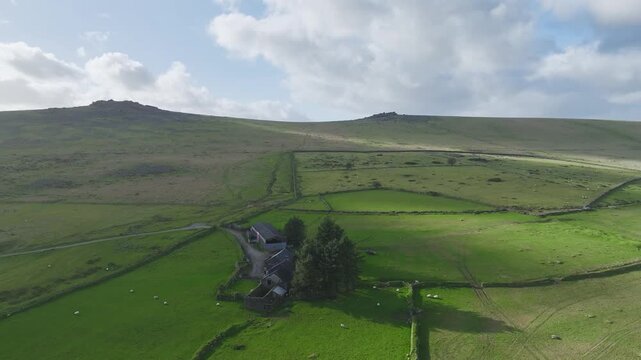 Farm in Dartmoor National Park, Merrivale, Devon, England, Eueope