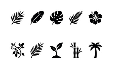 Fototapeta premium Exotic Palm Foliage, solid glyph icon set featuring palm leaf, banana leaf, monstera, fern, tropical blossom, vine, coconut leaf and jungle sprout, covering exotic foliage, tropical plants, rainforest