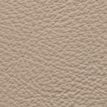 Light Beige Pebble Leather Surface Macro Background