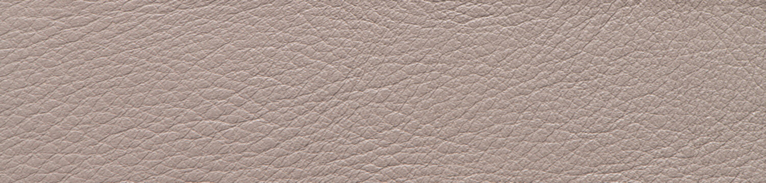 Beige Leather Texture Background Banner Macro