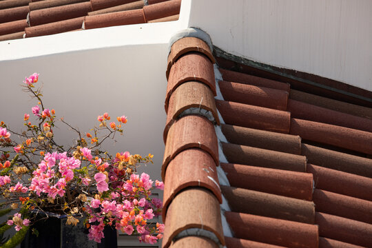 graphic composition of orange tiled roofs, white buildings, and pink flowers
