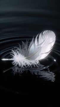 A single white feather drifts on calm water, floating weightless under soft light, a quiet fragile moment of stillness, peace and gentle drifting motion.