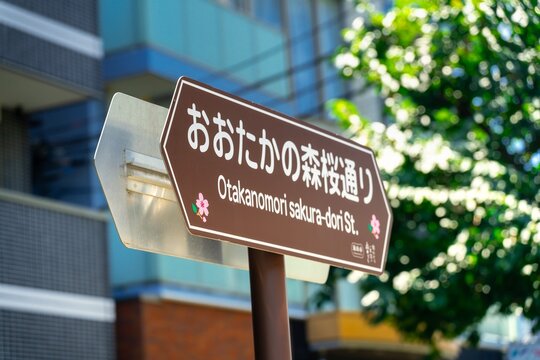 流山おおたかの森駅前・おおたかの森桜通り