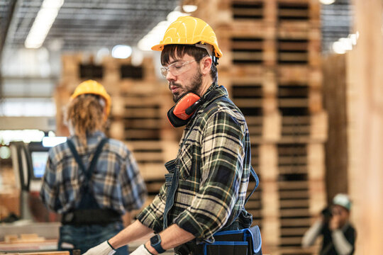 Bearded woodworker in a yellow hard hat and plaid shirt pauses his cutting work to check the line in a timber plant where skilled people, AI planning and robotic automation work together
