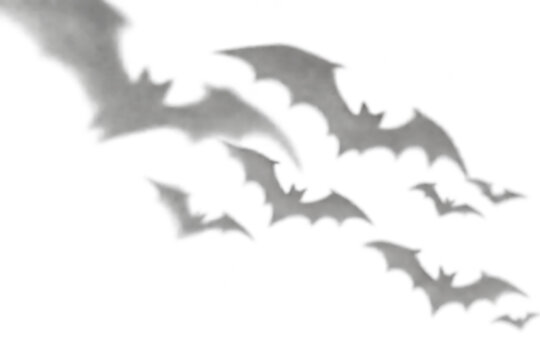 Soft flying bat shadow overlay isolated on transparent background