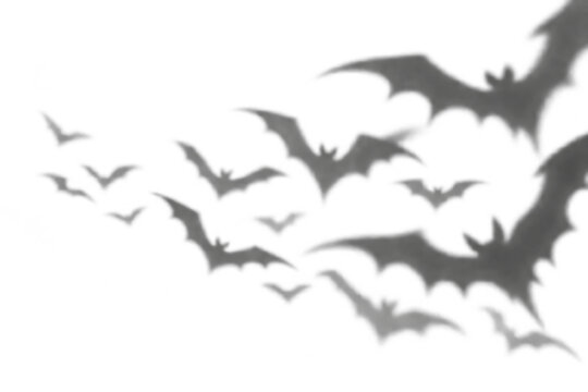 Group of flying bat shadows overlay isolated on transparent background