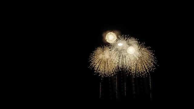 Golden Willow Fireworks Left Copy Space 3D Animation