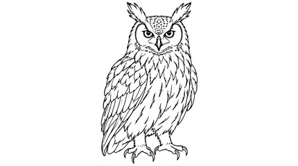 Obraz premium Line art illustration of a front-facing great horned owl with erect ear tufts, layered feather detail and sharp talons, drawn with thin precise lines in upright centered composition showing majesty