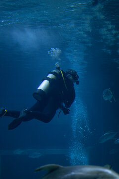 A Scuba Diver Swimming Underwater in a Deep Blue Marine Environment with Fish