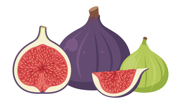 Fresh organic fig fruit set with whole purple green figs half slice vector illustration isolated on white background