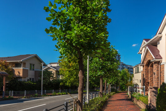 住宅地と道路