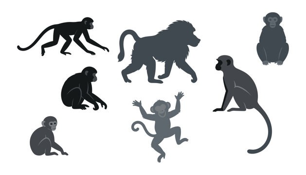 Monkey and baboon wild animal silhouettes collection with different primate species sitting walking and jumping vector illustration