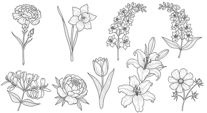 The Image Is A Collection Of Nine Black And White Illustrations Of