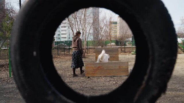 Woman interacts with white dog in outdoor park viewed through frame of large tire. scene shows them near wooden obstacles and scattered leaves under daylight with buildings visible beyond