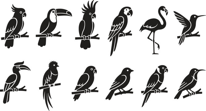 Exotic tropical birds solid glyph icon set featuring parrot toucan flamingo cockatoo and wildlife silhouette vectors