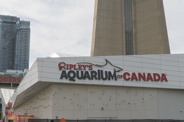 Obraz premium close-up of sign on the exterior of Ripley's Aquarium of Canada, 288 Bremner Blvd, Toronto