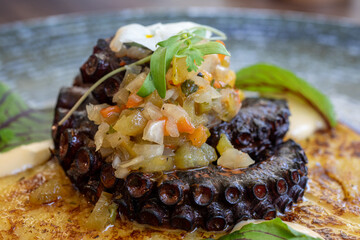 octopus with rice © Daniel Escobar Photo