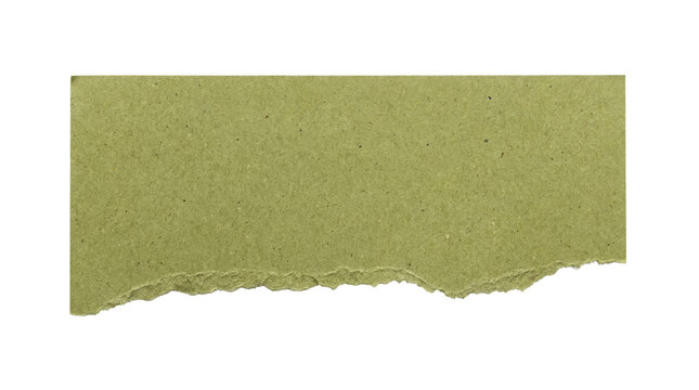 Light olive green textured paper piece isolated on png background for rustic design