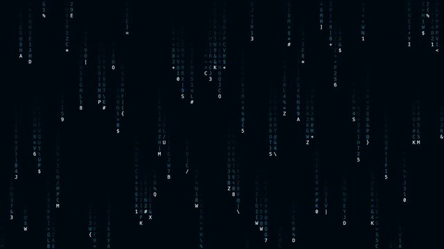 Dense digital code rain. Seamless looping 4K animation of dense falling columns of digital code.