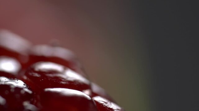 Close up view of fresh pomegranate seeds showing glossy red texture and juicy surface details creating rich natural food background with vibrant red color and fine detail