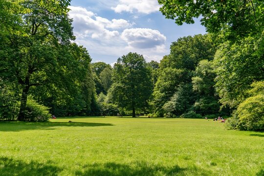 Lush green park lawn with trees and people relaxing