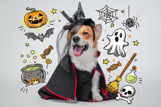A welsh corgi dog wearing a pointed witch hat and a black cape with red trim sits with its tongue out among drawn spooky doodles, a party invitation idea for a pet costume contest.