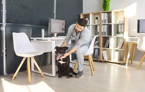 Veterinarian man with dog in clinic appointment. Vet reassures canine before checkup, building trust for safe examination. Bright office setting suits medical marketing. Strong concept of pet care.