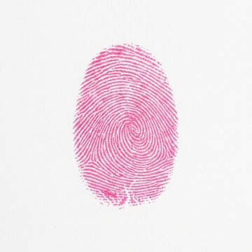 Vibrant Pink Fingerprint on White Background Identity Uniqueness and Personal Data Concept