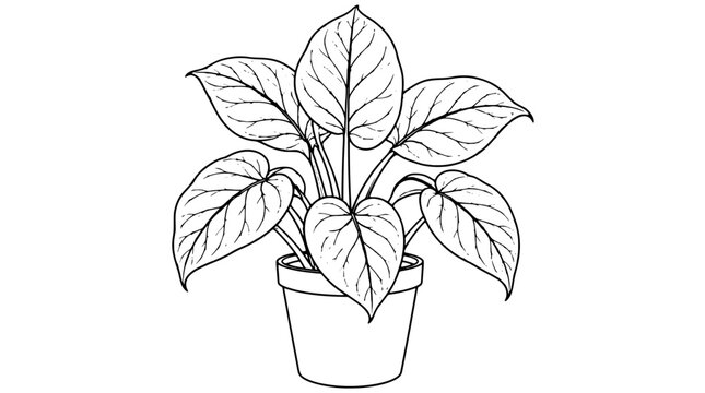 Black outline line art illustration of a potted houseplant with seven heart leaves and delicate pink branching veins drawn with thin lines in centered front view celebrating ornamental foliage