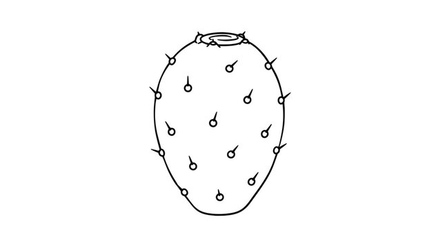 Monoline vector icon of an oval prickly pear cactus fruit covered with small circular areoles and short outward spines topped by a ringed scar drawn with thin lines in centered vertical composition