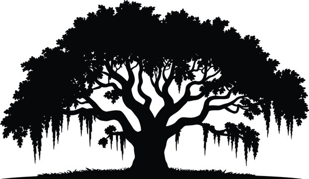 Majestic live oak silhouette with Spanish moss and organic branches, natural botanical tree symbol for landscape and outdoor artwork, vector, designs
