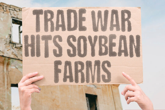 "Trade war hits soybean farms" Tariff fight squeezes growers. TARIFFS. WAR. AGRICULTURE. EXPORTS. FARMS.