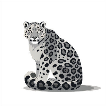 Sitting Snow Leopard Vector Illustration