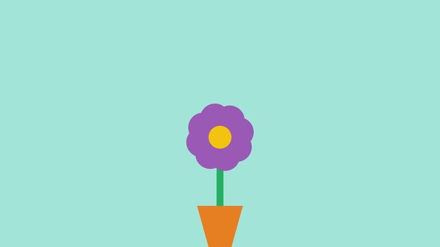 A flat vector flower rotating and blooming organically.