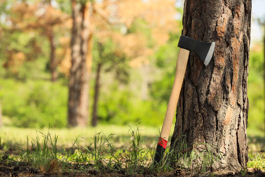 Deforestation and environmental impact, axe leaning against a pine tree in a forest logging industry and nature conservation challenges