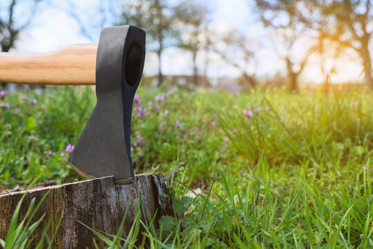 Deforestation and environmental conservation, sharp axe embedded in a tree stump in a meadow with spring flowers and sunlight in the background