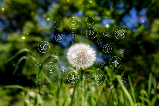 Dandelion with sustainability icons in green nature background.