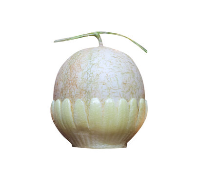 Cantaloupes in yellow shockproof foam packed  isolated on white background , clipping path