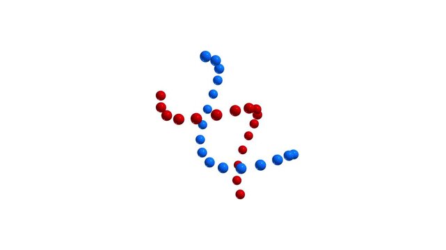 Rotating DNA Red Blue Spheres Forming Curved Helix 4K seamless loop animation