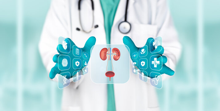 Doctor examining a digital screen to detect abnormalities in the female urinary system. Diagnosis of recurrent infections, laboratory analysis, and science. Medical technology.