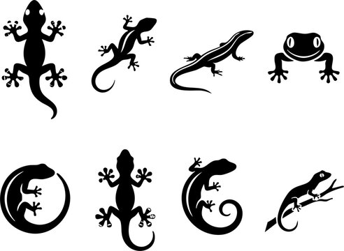 Lizards and geckos seamless vector silhouette pattern