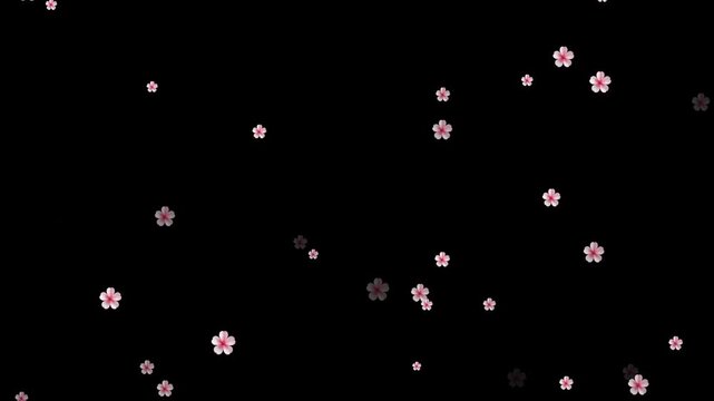 Cherry blossom floral overlay animation isolated on alpha channel. Cinematic sakura cherry blossom petals falling - Spring animation. autumn leaves falling animation with orange leaves 4K.