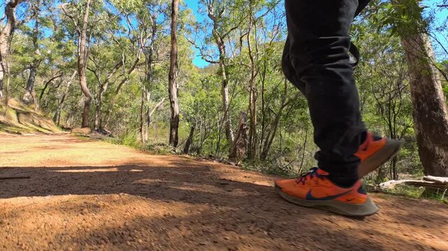 Low Angle View of Person Bushwalking Along Dirt Trail