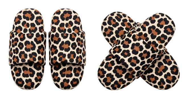 Two leopard print shoes with decorative x pattern on white background isolated on transparent background