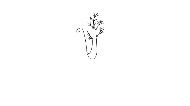 Minimalist continuous line drawing animation of a fresh fennel bulb gradually forming on a clean white background