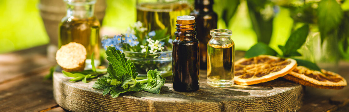 Banner. Concept of pure natural ingredients for cosmetic production. Alternative herbal medicine. Bottles of tincture, potion, organic essential oils, healthy herbs, floral extracts on wooden table