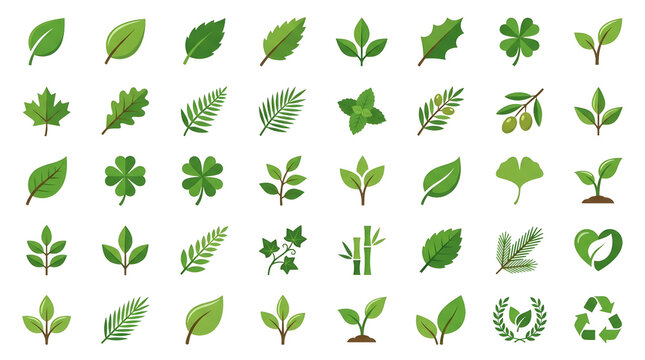 Green leaves icon set vector illustration featuring various foliage types maple clover mint olive branch bamboo fern sprout and ecology symbols isolated on dark background nature organic environment c