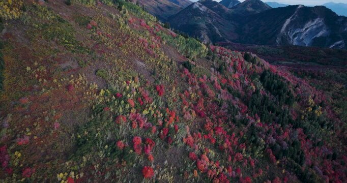Colorful Autumn Trees On Rocky Mountain Hills At Sunset