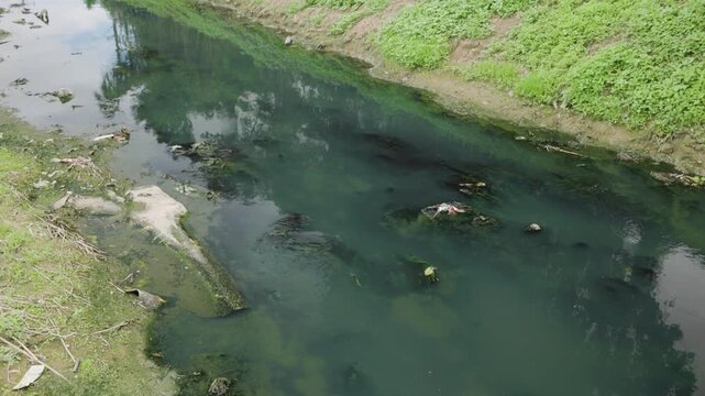 Polluted shallow river with sediment and wastewater discharge, symbolizing human impact, environmental destruction, ecosystem degradation, water contamination.