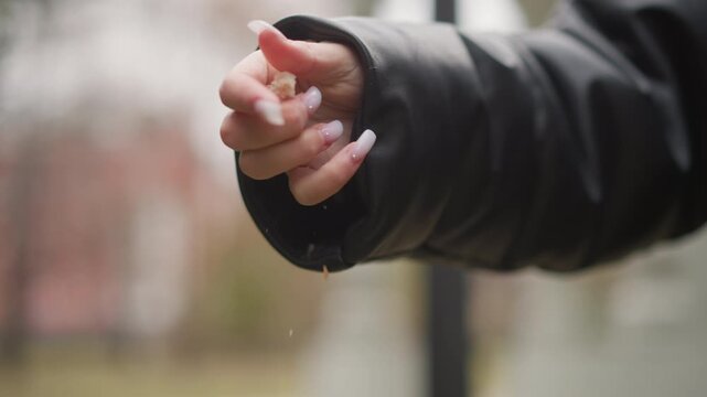 Close up of woman hand with long white nails wearing black leather jacket sleeve holding and releasing small crumbly food item. Hand movements show grasping pinching fingers around texture